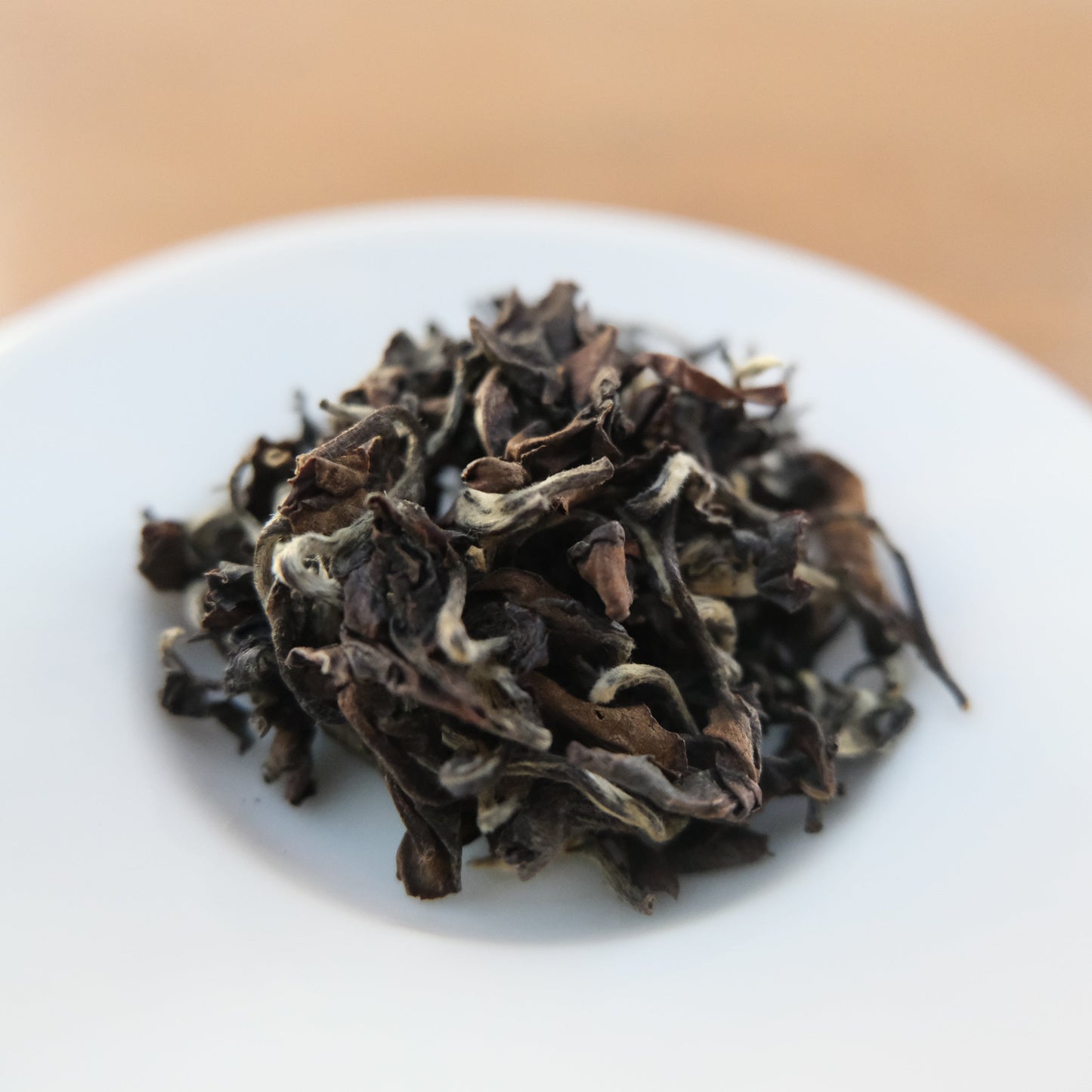 BUG-BITTEN OOLONG - MYSELF SURRENDERED