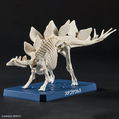 Bandai - Plannosaurus Stegosaurus Plastic Model
