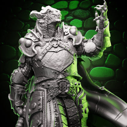 Dragonborn Paladin | Warhammer | 5e