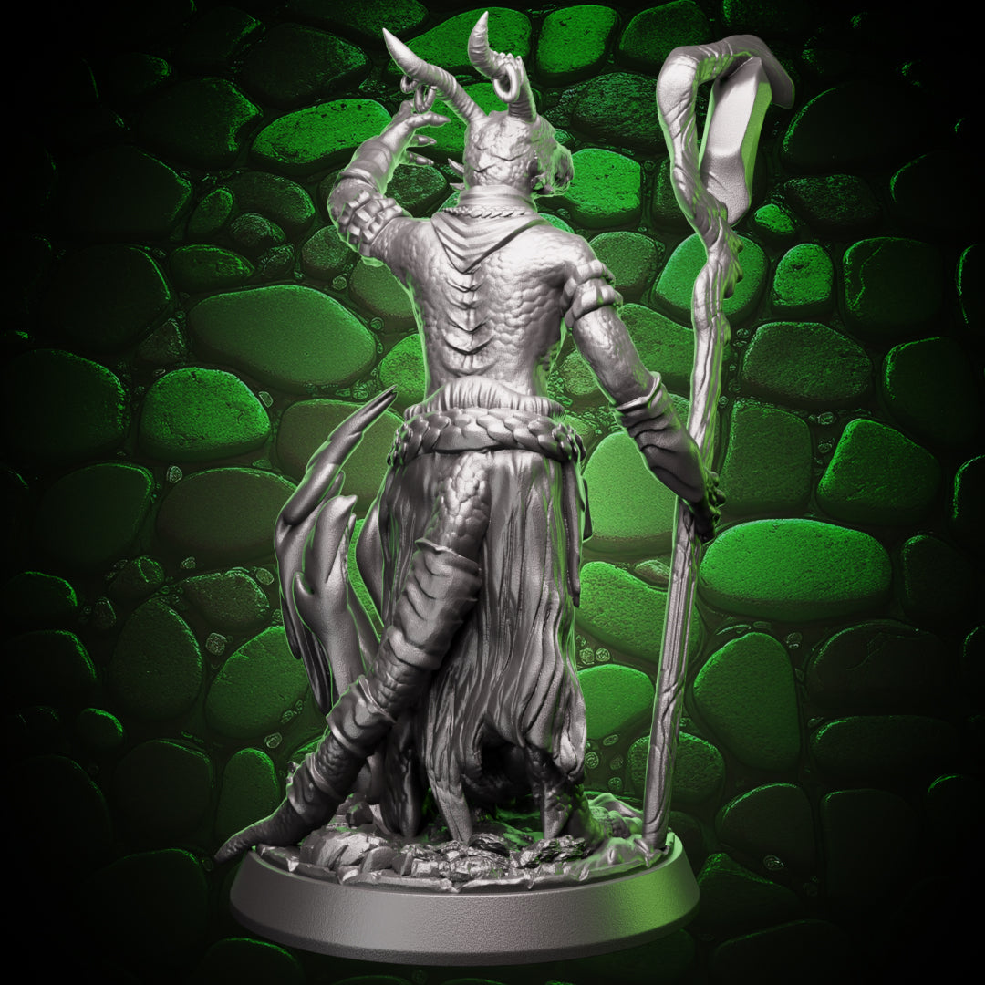 Dragonborn Wizard | Pyromancer | 5e