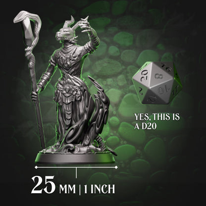 Dragonborn Wizard | Pyromancer | 5e