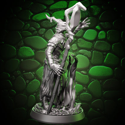 Dragonborn Wizard | Pyromancer | 5e