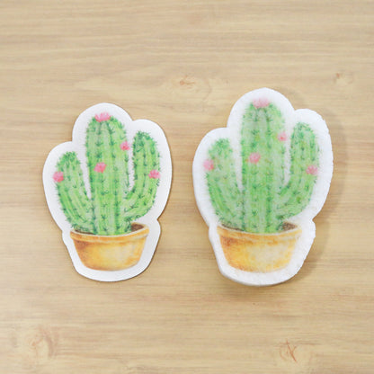 Éponge Pop Up Cactus