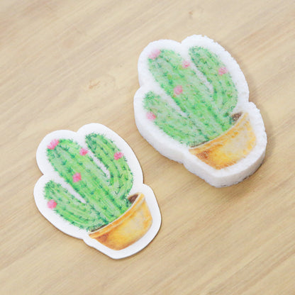 Éponge Pop Up Cactus