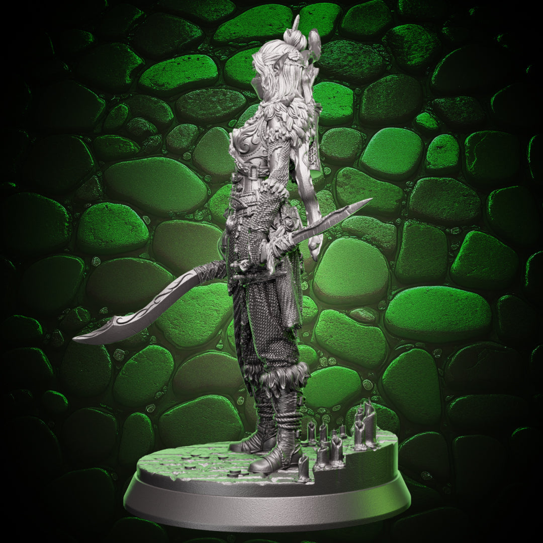 Elf Rogue - Swords and Bow | 5e
