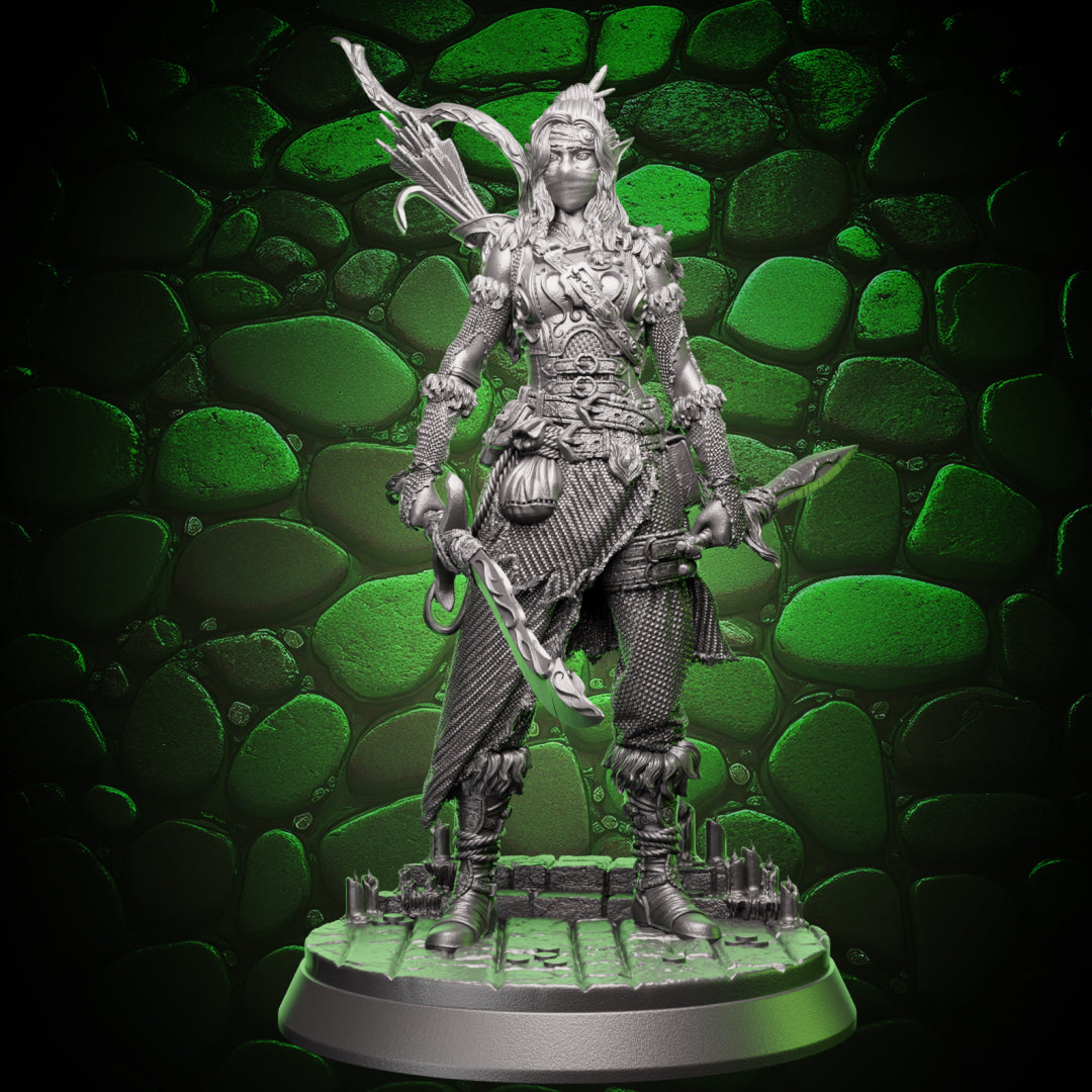 Elf Rogue - Swords and Bow | 5e