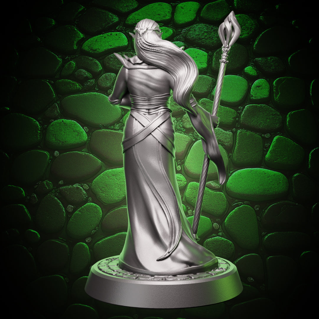 Elf Sorcerer | Staff  | 5e