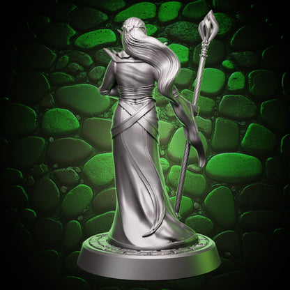 Elf Sorcerer | Staff  | 5e
