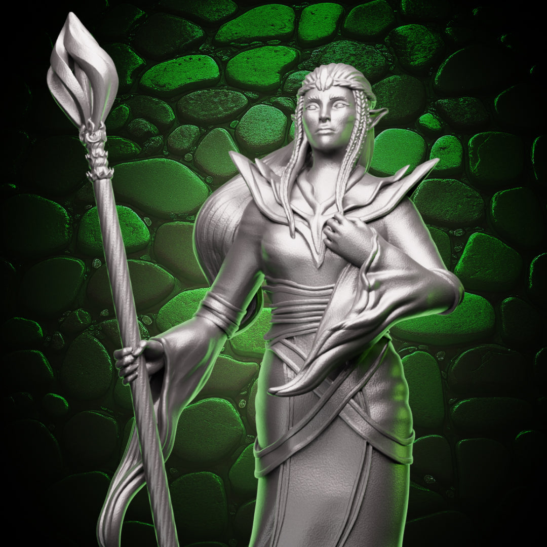 Elf Sorcerer | Staff  | 5e