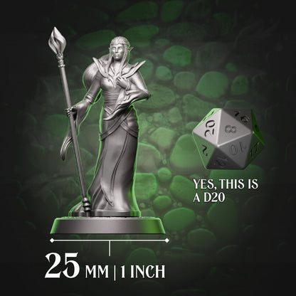 Elf Sorcerer | Staff  | 5e
