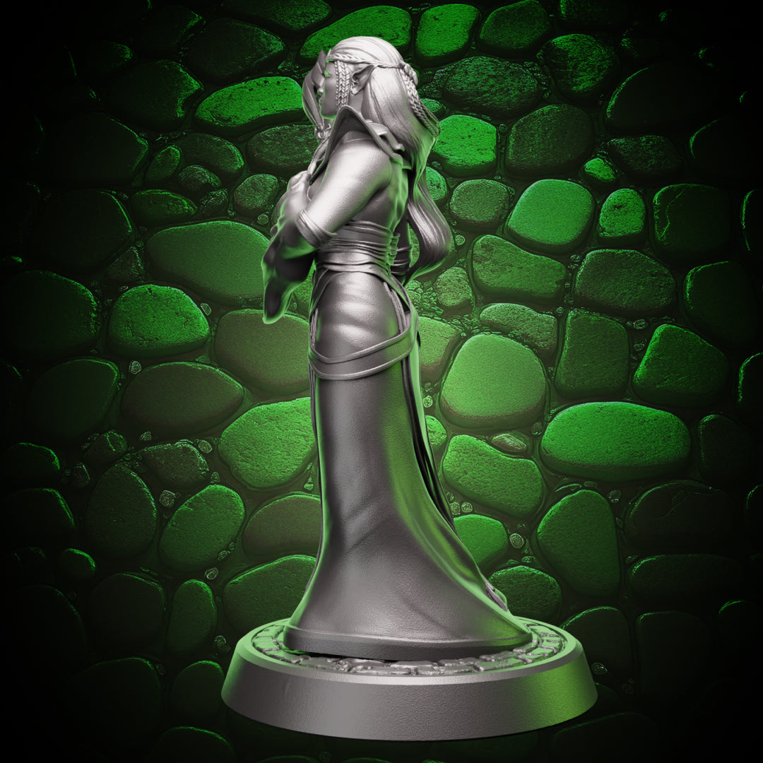 Elf Sorcerer | Staff  | 5e