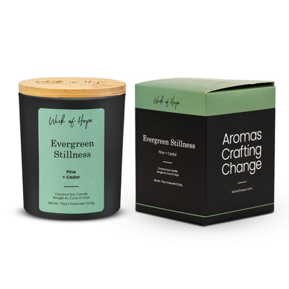 Evergreen Stillness Candle | Pine + Cedar