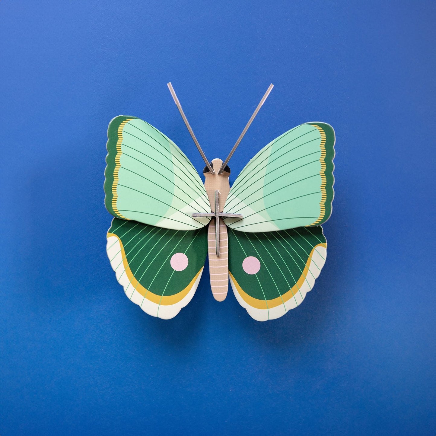 Papillon à rayures de fougère