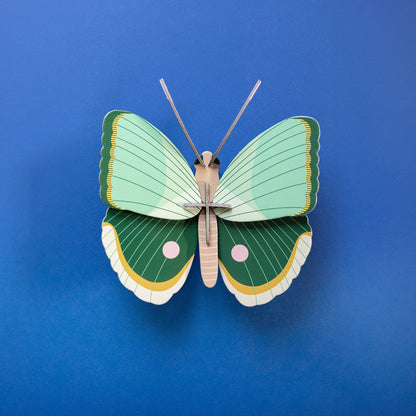 Papillon à rayures de fougère