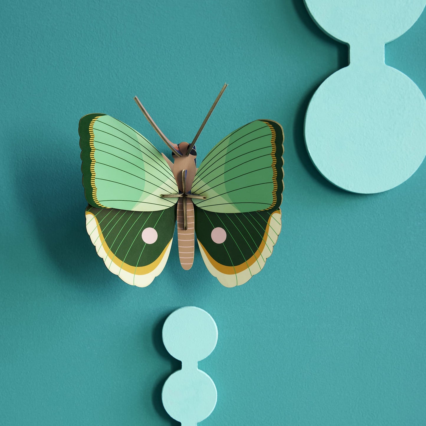 Papillon à rayures de fougère