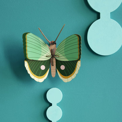 Papillon à rayures de fougère