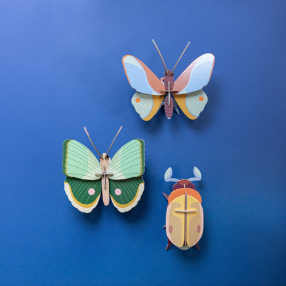 Papillon à rayures de fougère