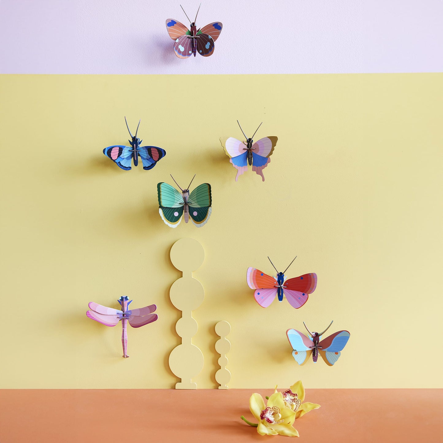 Papillon à rayures de fougère