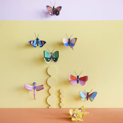 Papillon à rayures de fougère