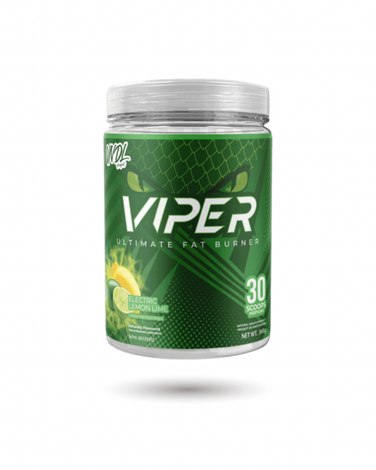 Projet VNDL Viper