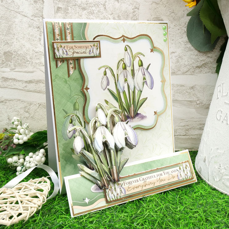 In Full Bloom - Floral Delights Designer Deco-Large Collection