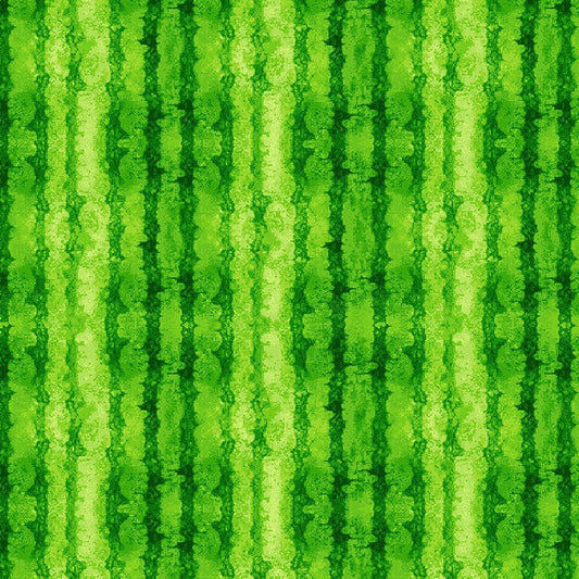 Watermelon Stripes Texture- FRUIT-CD-1926