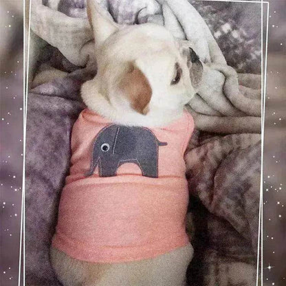 Fashionable Pet Cotton comfy Clothes