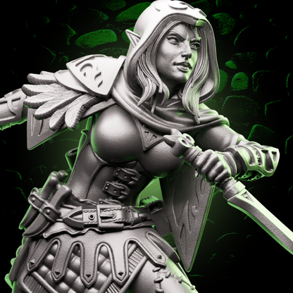 Elf Rogue | Daggers | 5e