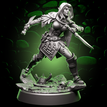 Elf Rogue | Daggers | 5e