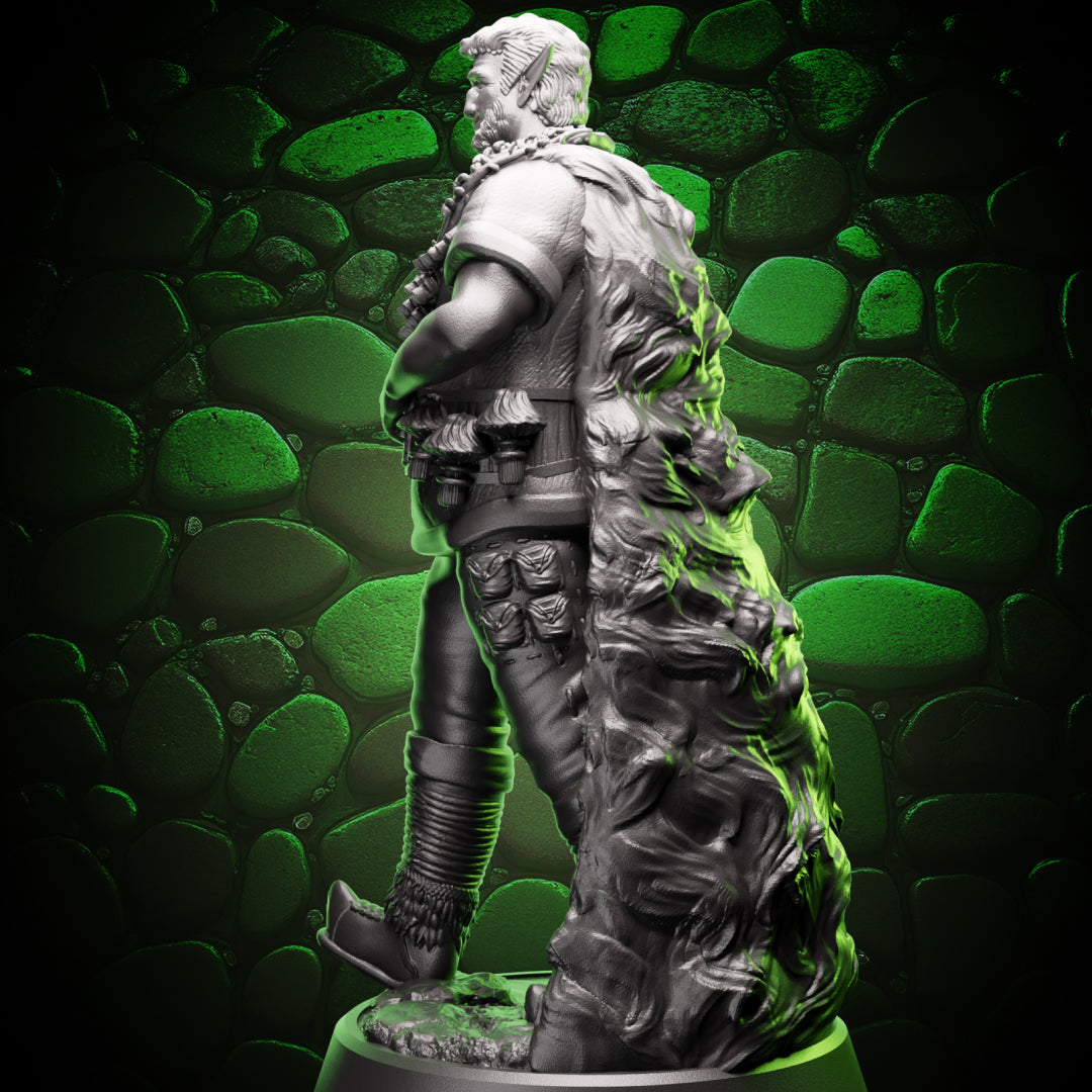 Firbolg Druid | Wanderer | 5e