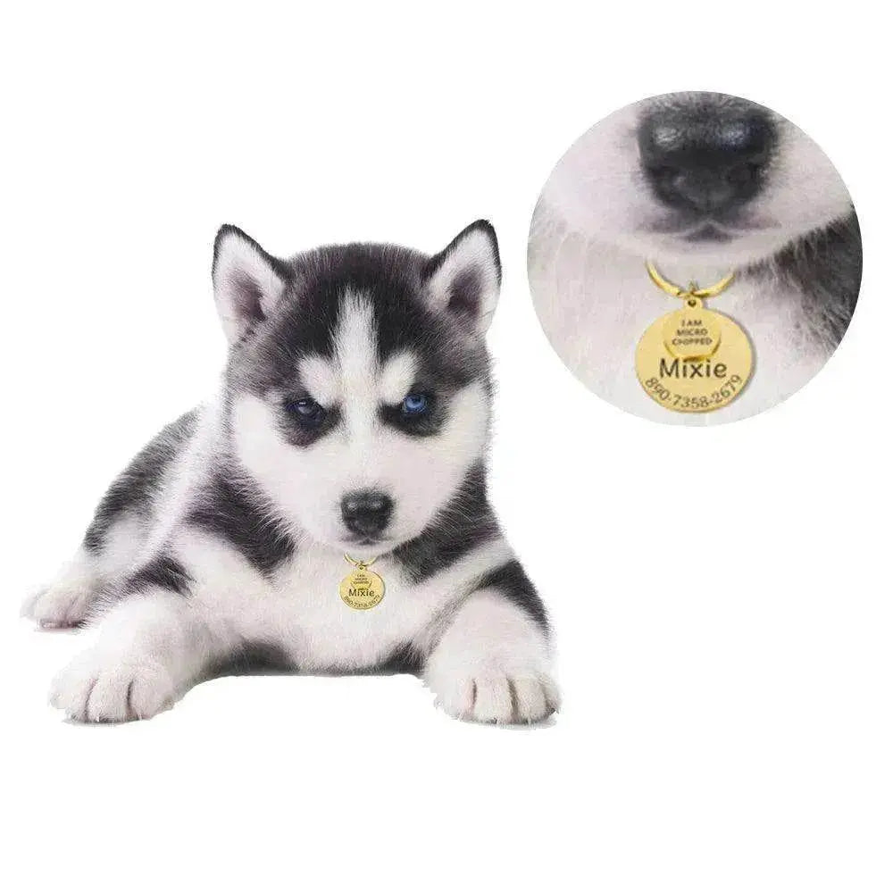 Funny Personalized POD Collar Pet ID Tag Keychain