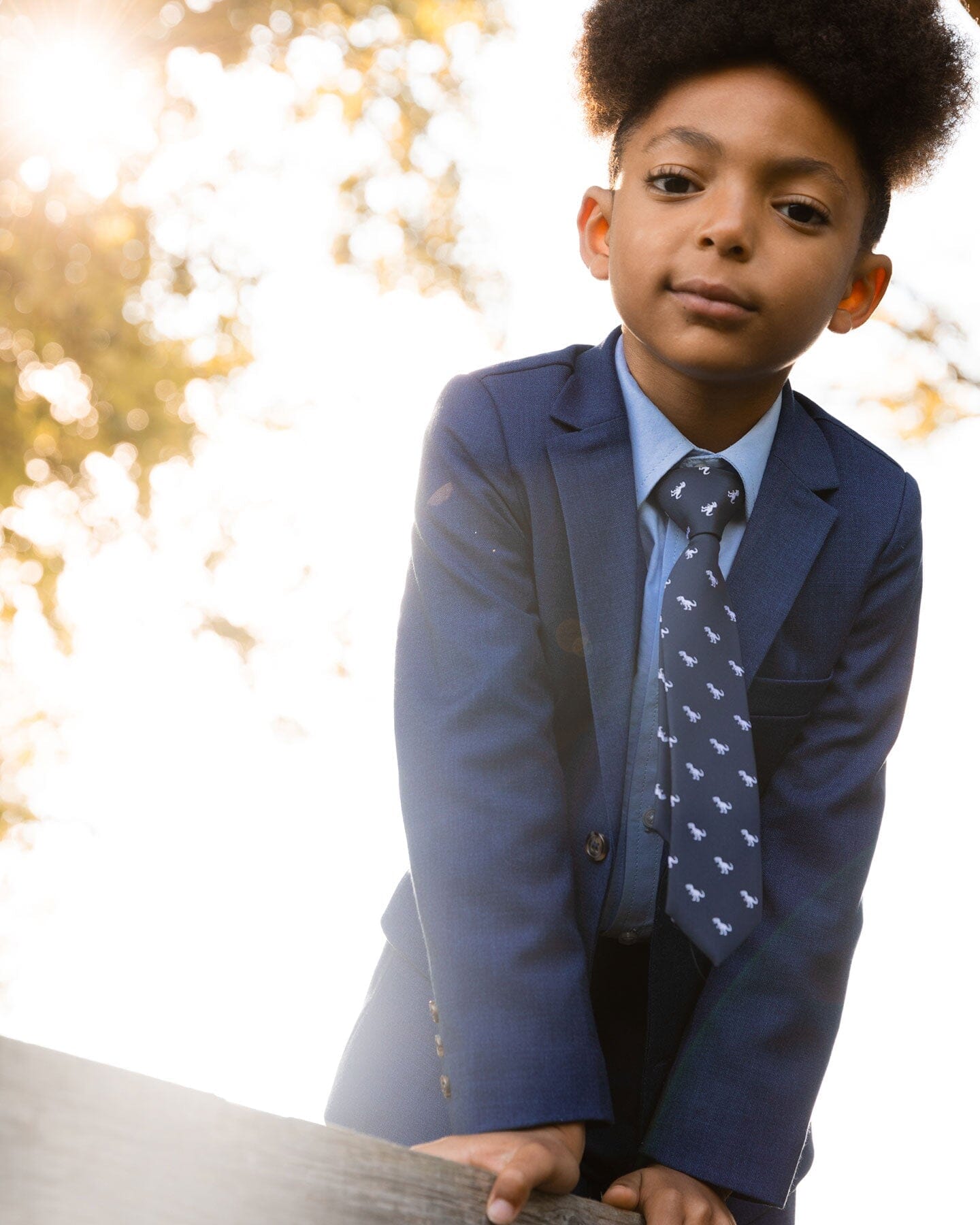 Neck Tie Navy Blue And Dino