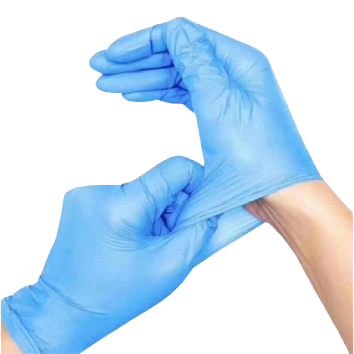 Large Clear Vinyl Disposable Gloves - Powder-Free (1,000 Gloves Total/Case)