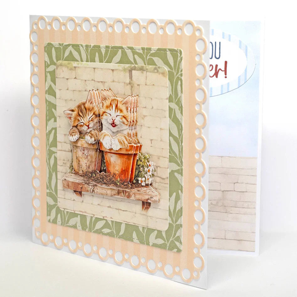Collection de découpes et de décopatch Chatons Ingénieux