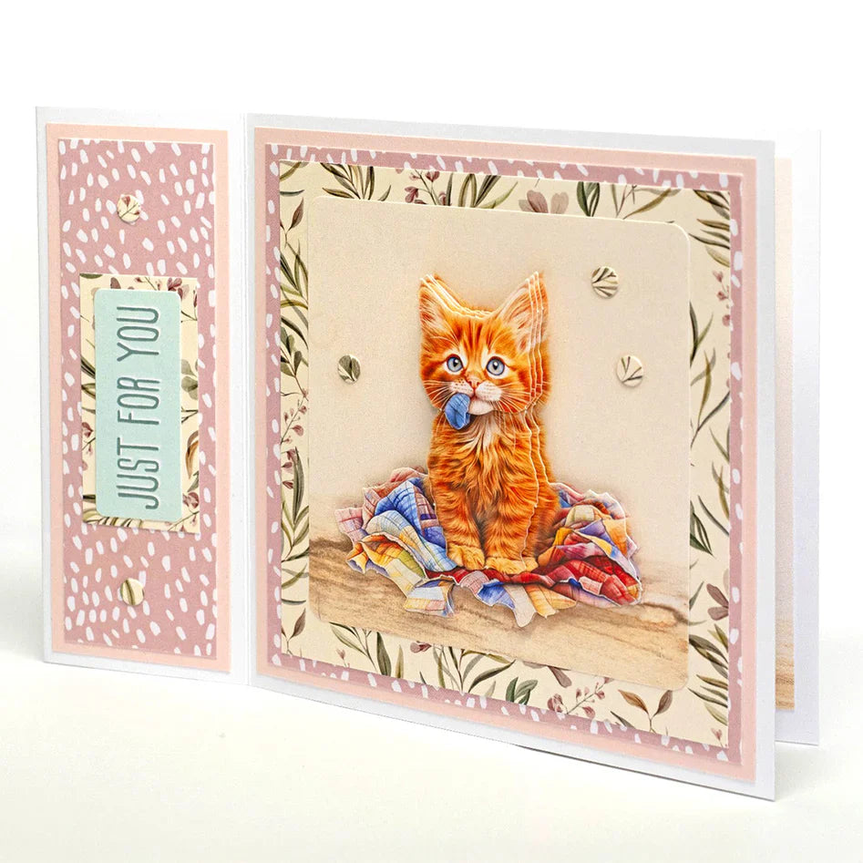 Collection de découpes et de décopatch Chatons Ingénieux