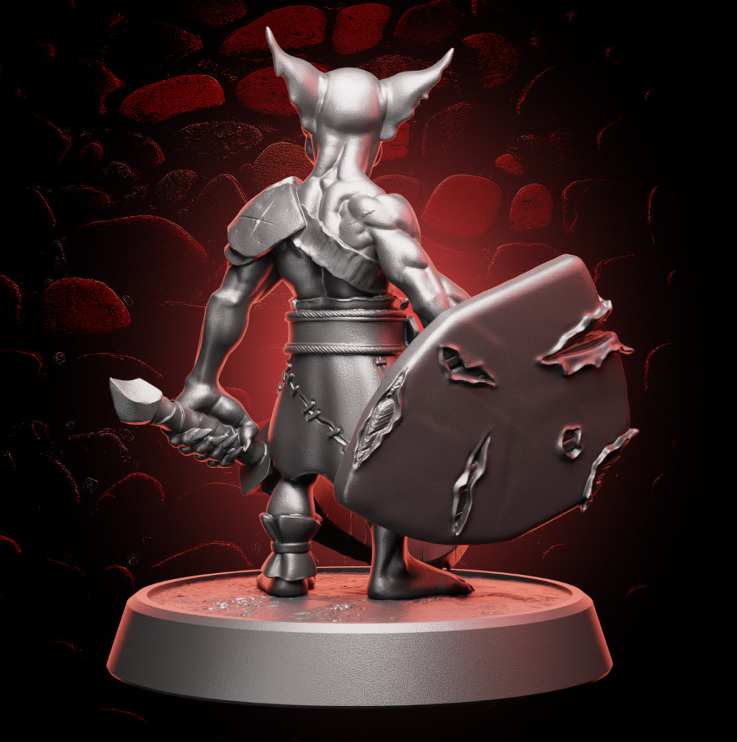 Goblin Fighter | Sword & Shield | Medium (1in base) | 5e