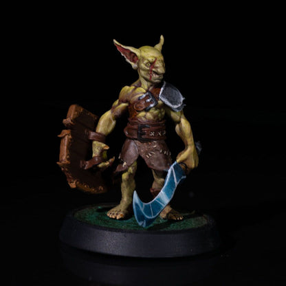 Goblin Fighter | Sword & Shield | Medium (1in base) | 5e