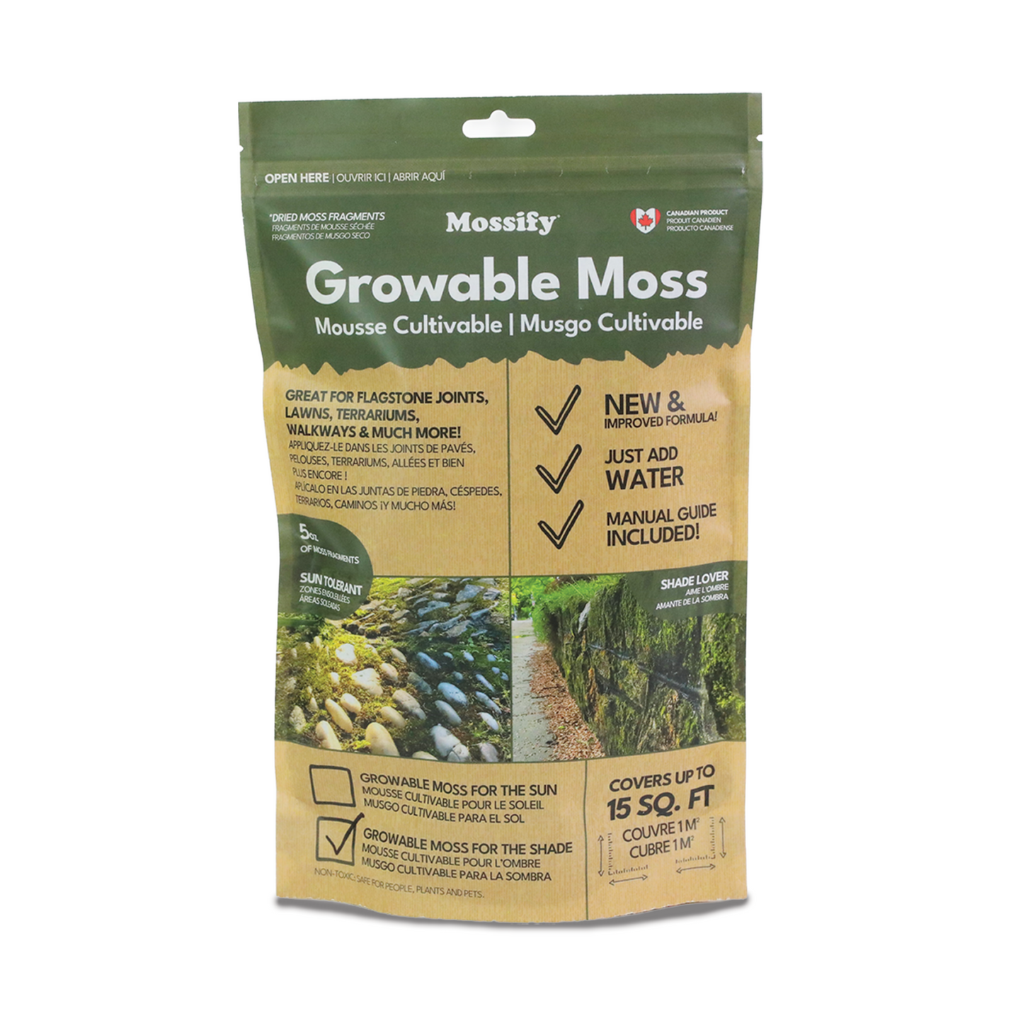 Mousse boréale indigène cultivable pour l'ombre