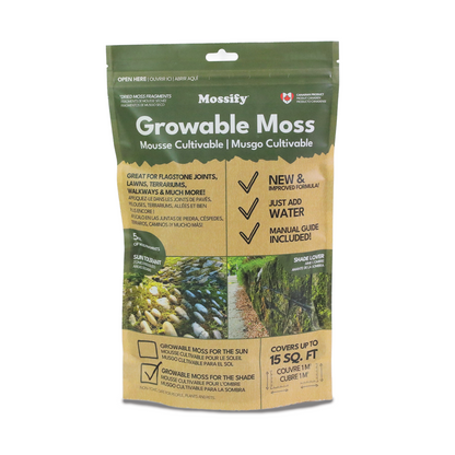 Mousse boréale indigène cultivable pour l'ombre