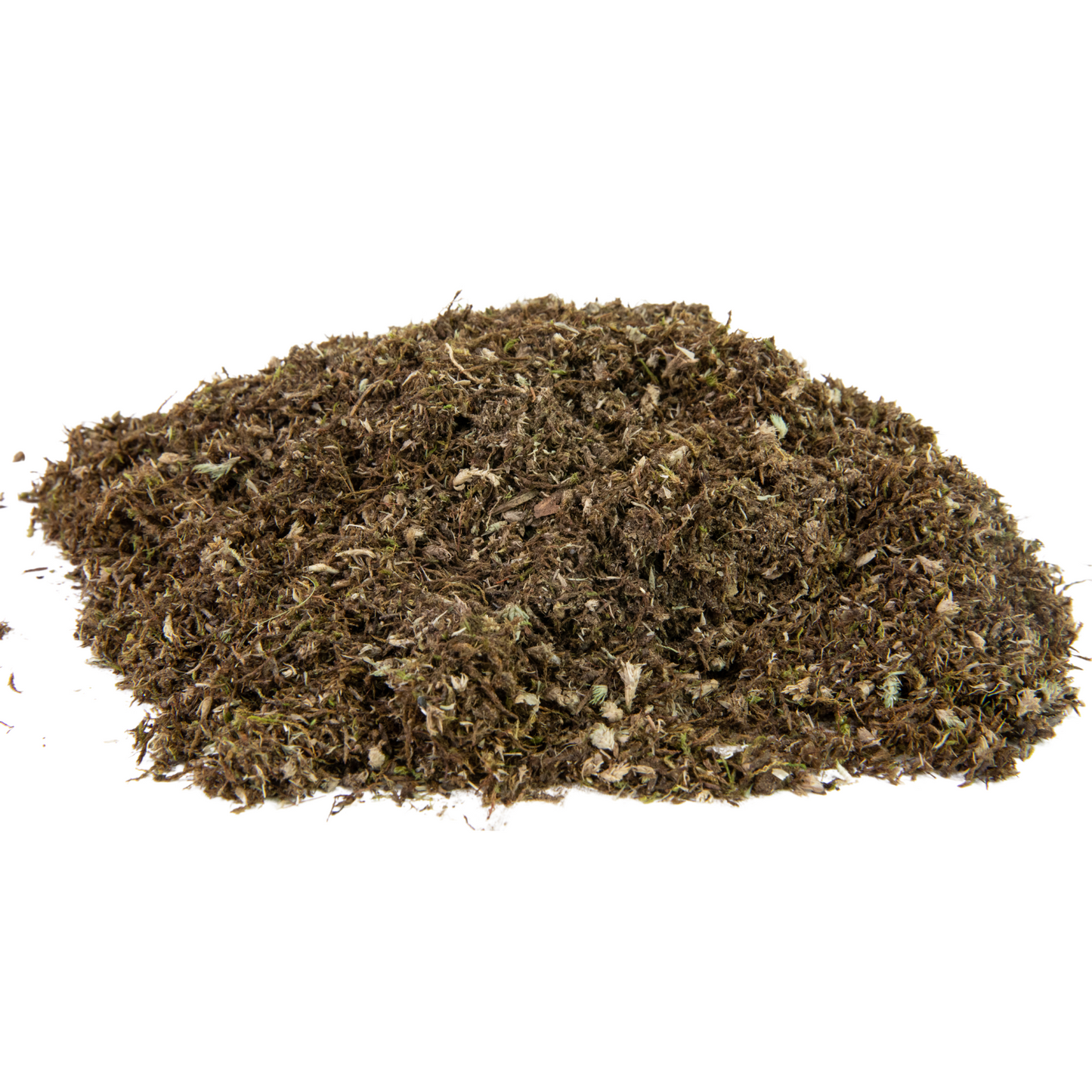 Mousse boréale indigène cultivable pour l'ombre