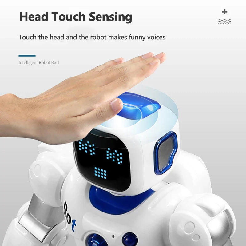 Application Control 2.4GHz, Dual Mode Programming, Demo, RC Robot, Walk/Slide Switch, Touch Sensing, Voice Recording, Singing, Dancing, Puzzle, RC Toys