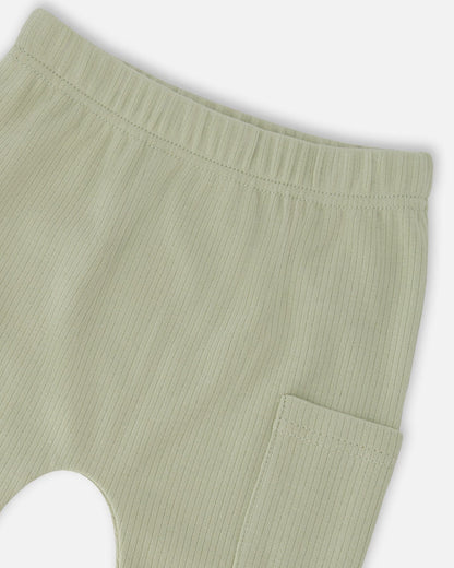 Organic Cotton Jersey T-Shirt And Cotton Rib Pants Set Beige Zebra Print And Sage Green