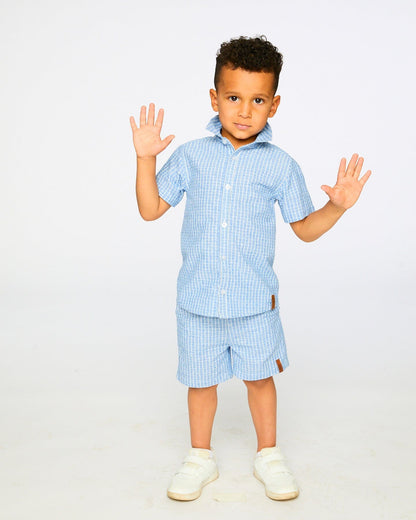 Printed Chambray Shorts Blue Denim Stripes