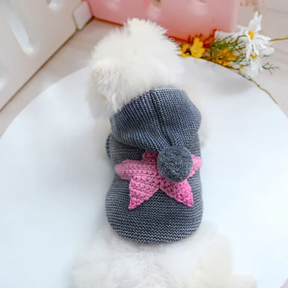 PETCIRCLE Vêtements pour chien Teddy Chiot Bulldog Français Chihuahau Vêtements pour chien Automne Hiver Vêtements pour chat Pull Étoile de mer nordique