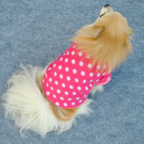 Vêtements chauds en molleton pour animaux de compagnie, manteau mignon à imprimé tête de mort pour chiens, veste chemise pour chiots, pull pour bouledogue français, vêtements de camouflage pour chiens