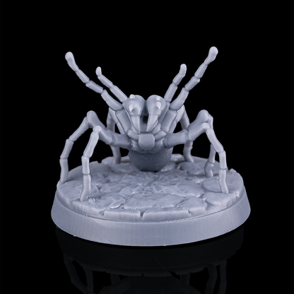 Huntsman Spider | 5e
