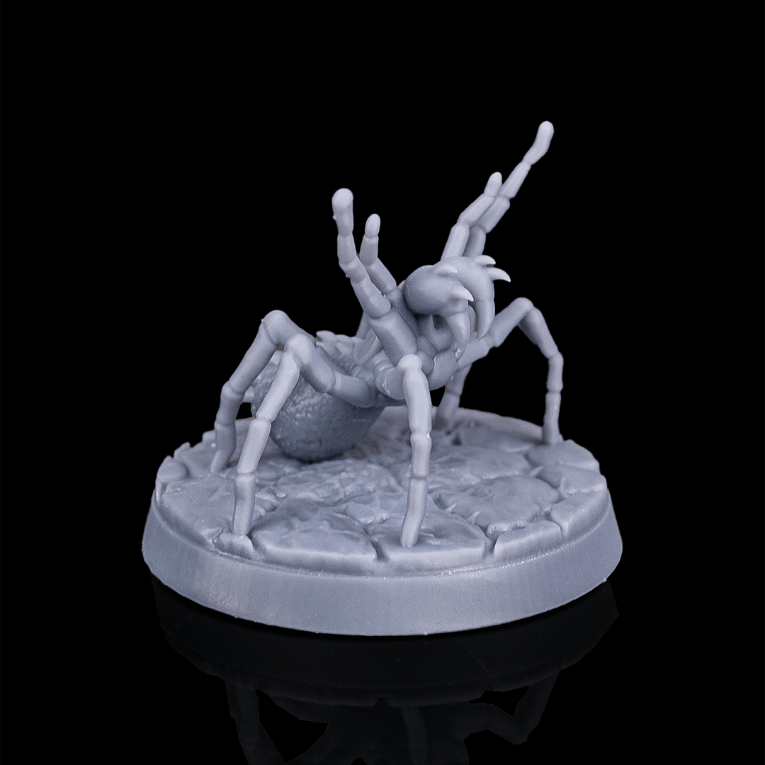 Huntsman Spider | 5e