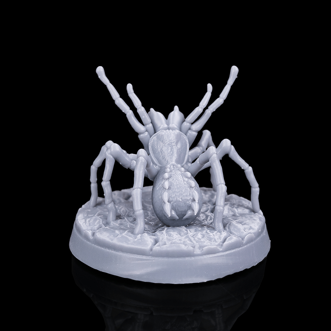Huntsman Spider | 5e
