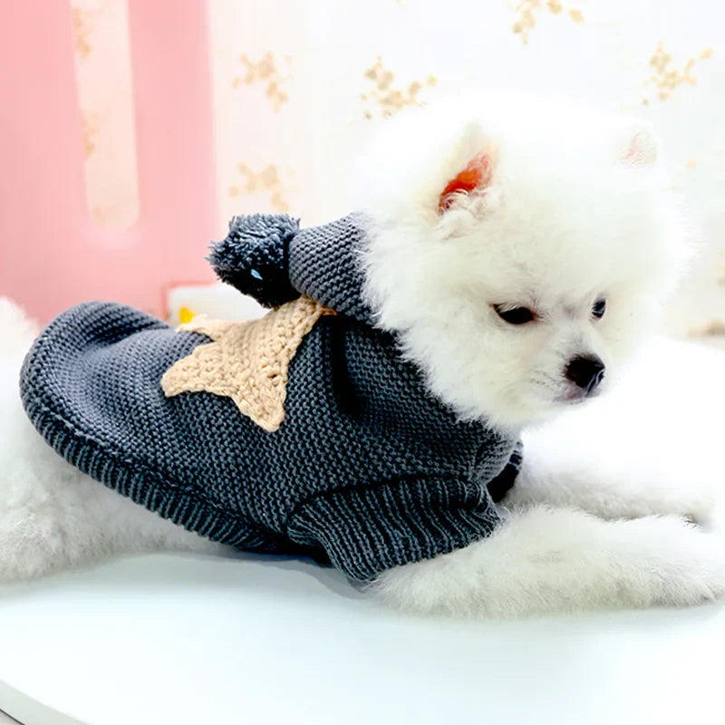 PETCIRCLE Vêtements pour chien Teddy Chiot Bulldog Français Chihuahau Vêtements pour chien Automne Hiver Vêtements pour chat Pull Étoile de mer nordique