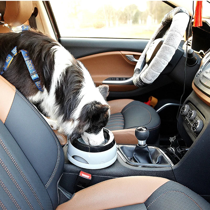 Écuelles pour chiens, flottantes, ne mouillant pas la gueule, gamelle pour chats anti-déversement, distributeur d'eau, accessoires portables en plastique pour chiens.